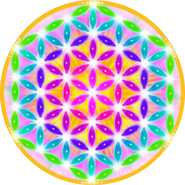 Floweroflifebloom